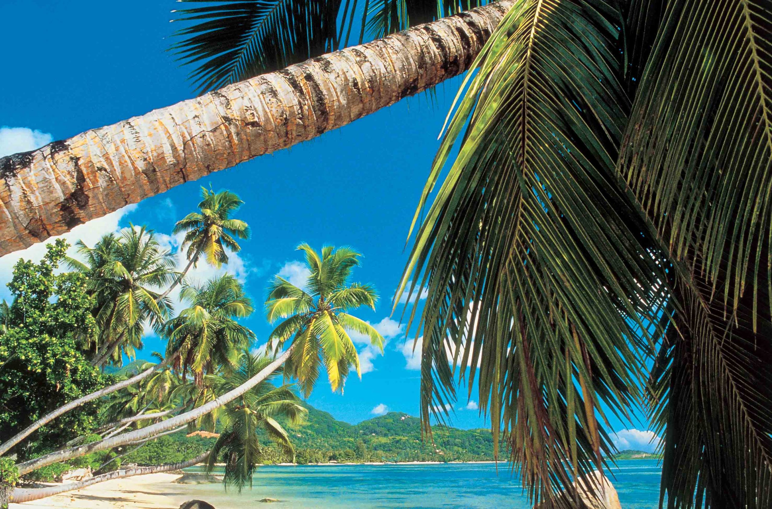 Costa Kreuzfahrten Karibik
